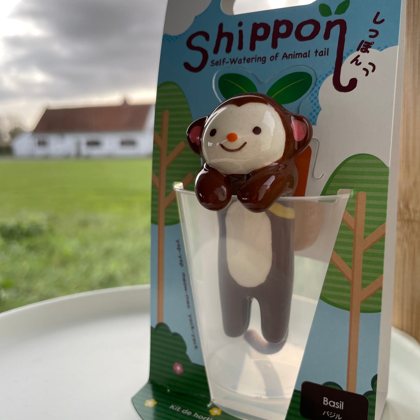 Shippon- Self-Watering Plant