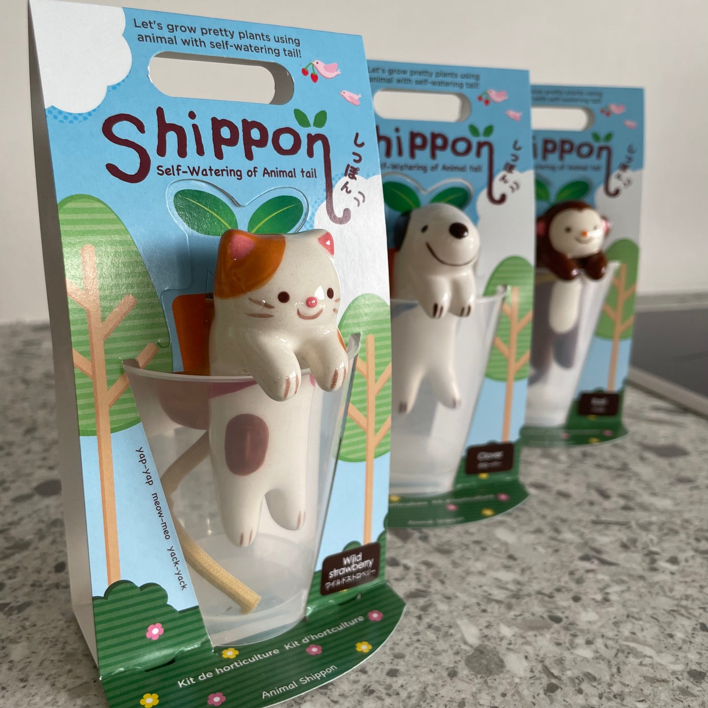 Shippon- Self-Watering Plant