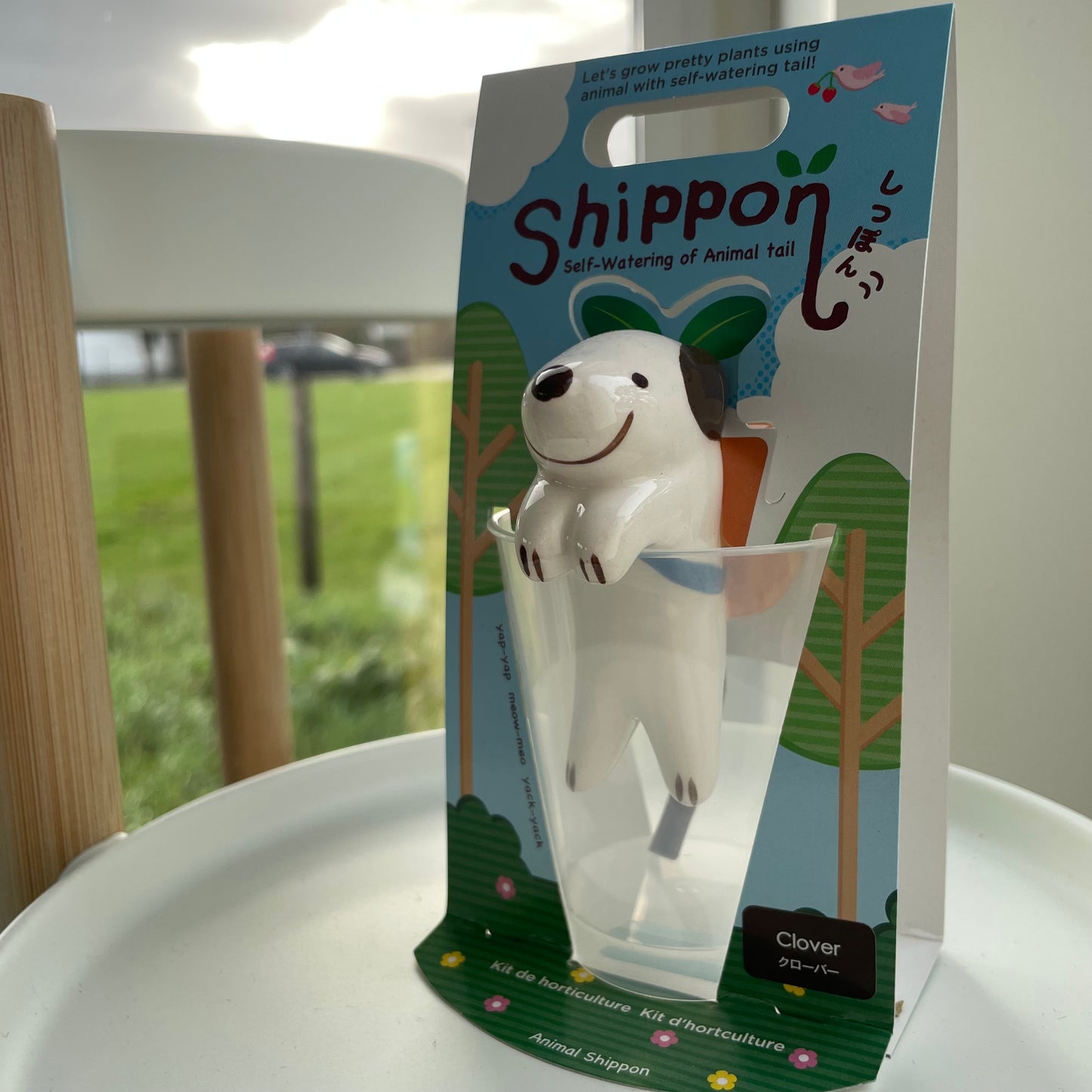 Shippon- Self-Watering Plant