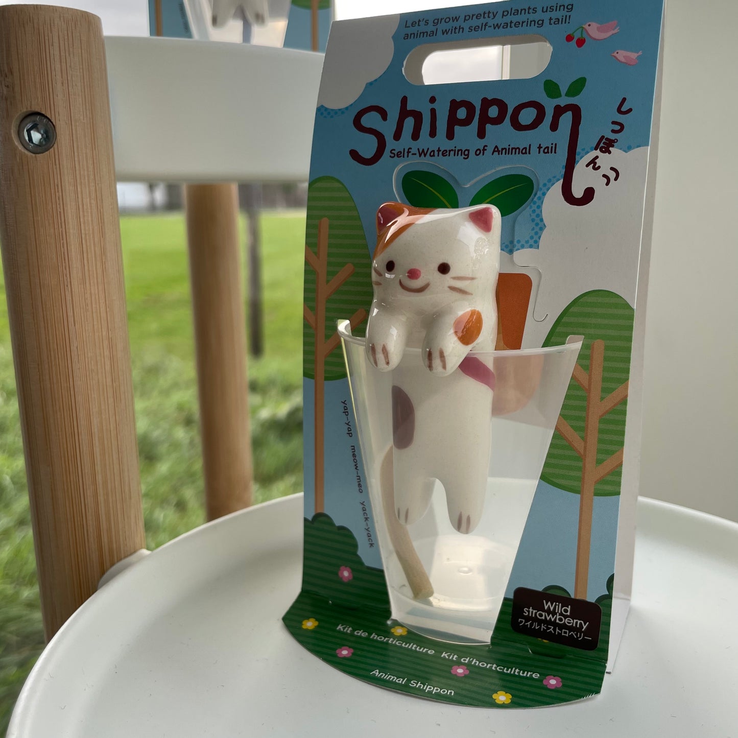 Shippon- Self-Watering Plant