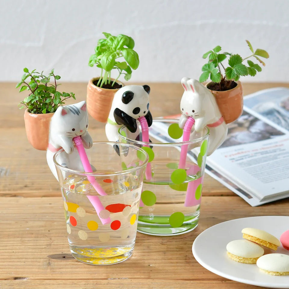 Chuppon - Self-Watering Plant